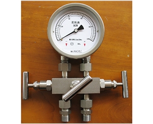 江苏差压表带三阀组